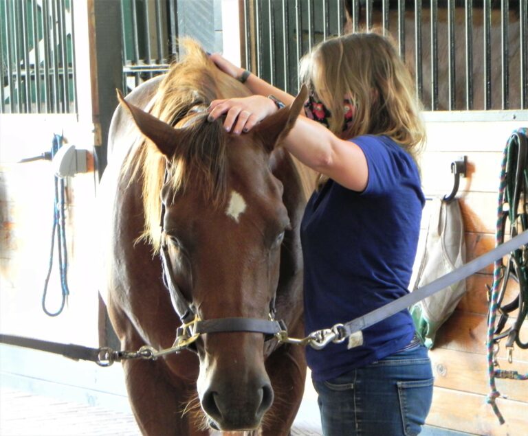 EQ1100 Equine Myofascial Release Techniques Level I (Spring 2025