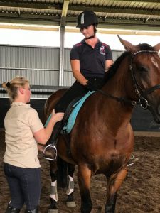 Equine Bodywork Courses