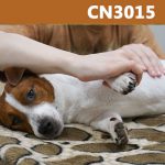 Caninology Course CN3015