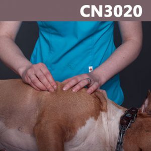 Caninology Course CN3020