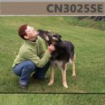 Caninology CN3025SE