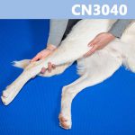 Caninology Course CN3040