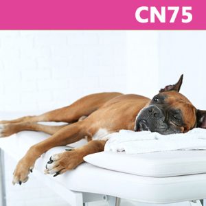 Caninology CN75