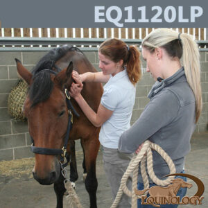 Equine Anatomy EQ1120LP