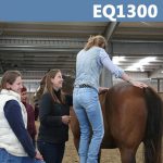 Equine Anatomy Course EQ1300