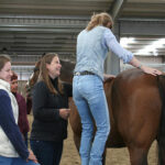 Equine Anatomy Course EQ1300