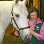 Equine Anatomy EQ1400