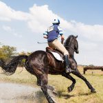 Equine Exercise Physiology