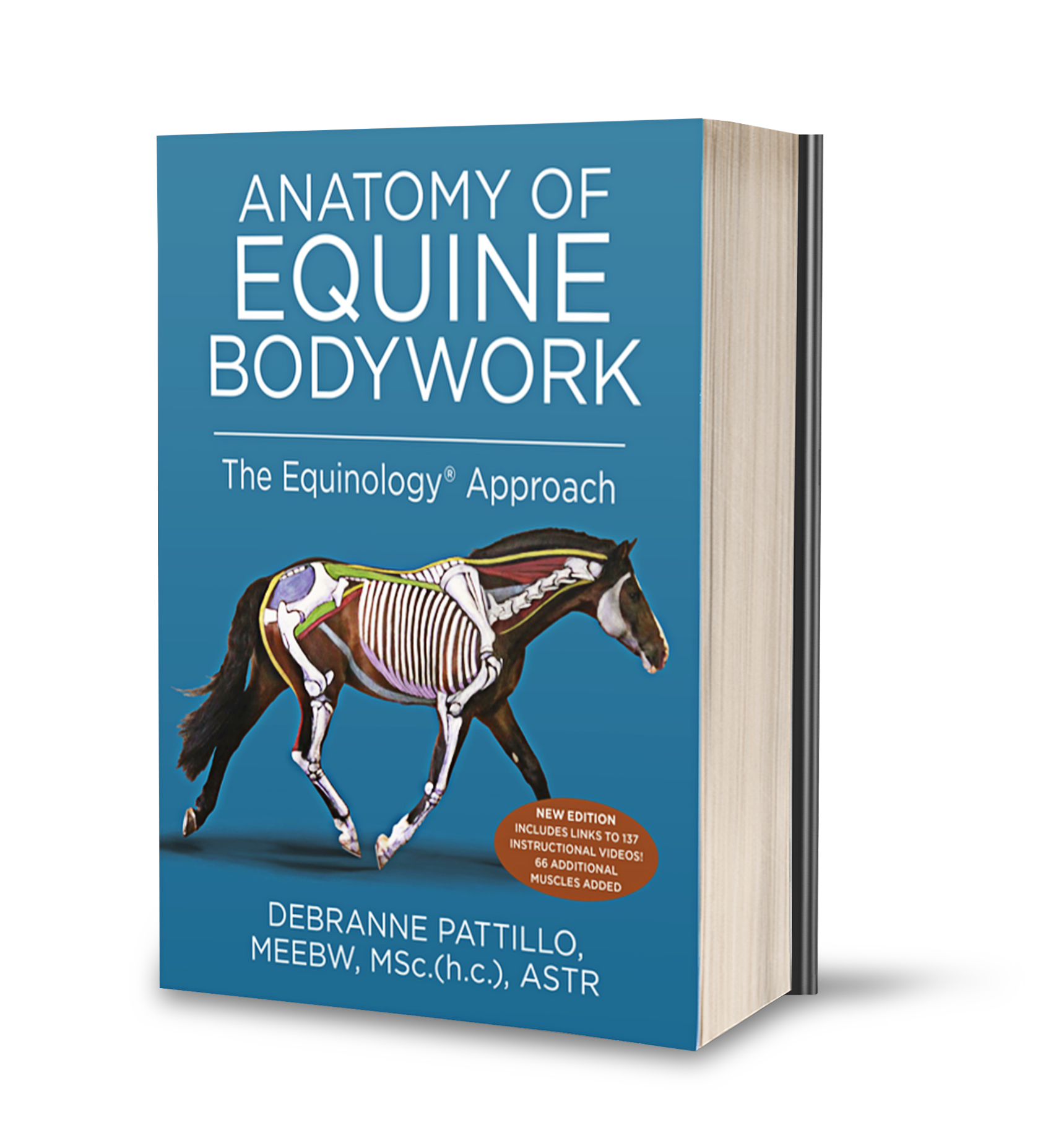 Anatomy of Equine Bodywork The Equinology® Approach (2nd Edition) by Anatomy of Equine Bodywork The Equinology® Approach (2nd Edition) by